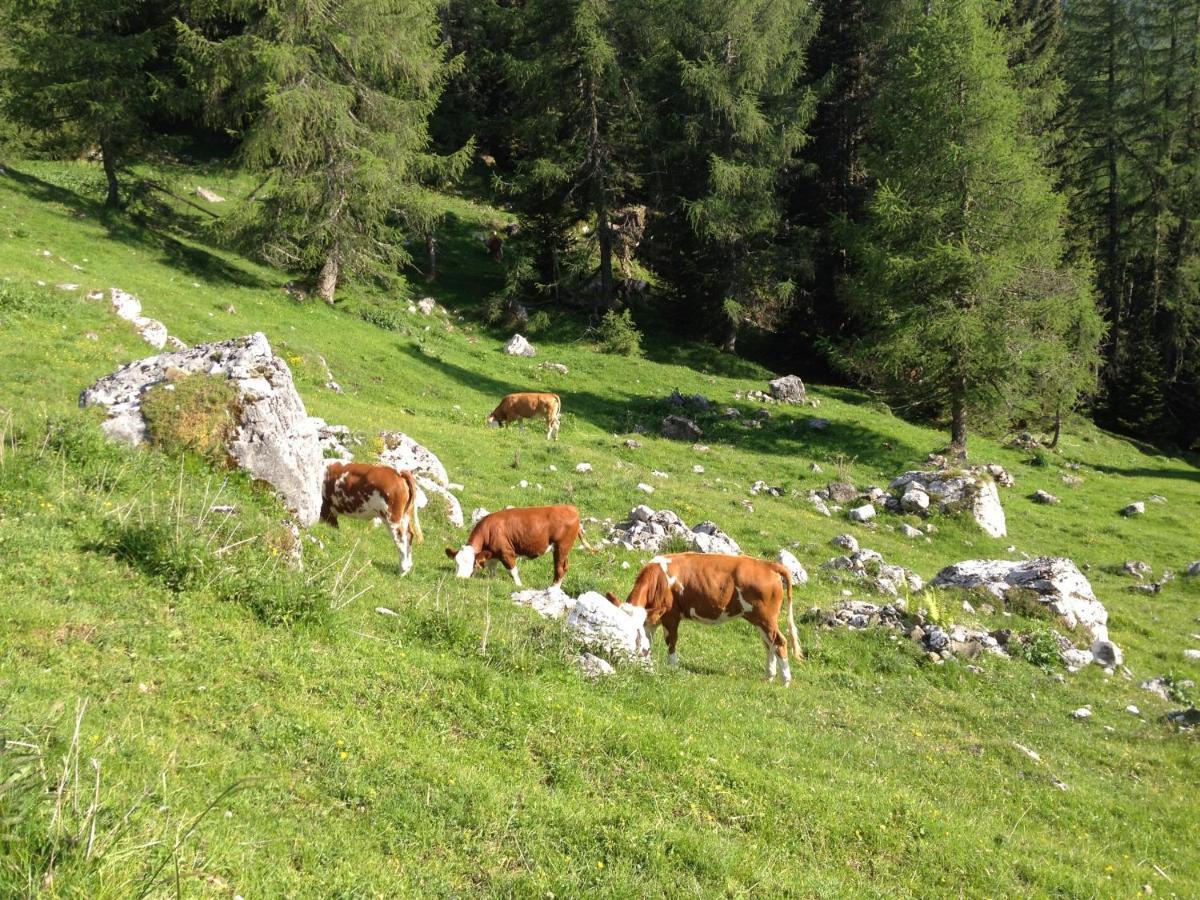 Casa Al Moro Leilighet Rocca Pietore Eksteriør bilde