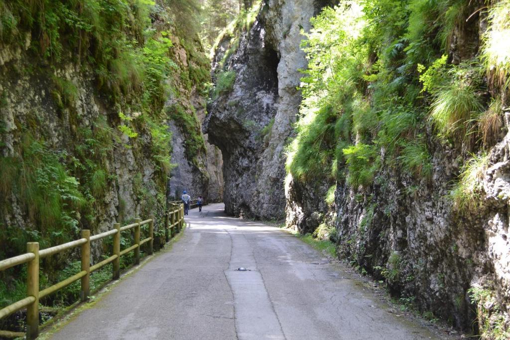 Casa Al Moro Leilighet Rocca Pietore Eksteriør bilde